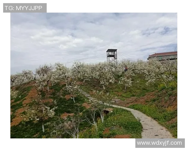 天下足球网全新改版上线足球迷的梦想平台尽在掌握中